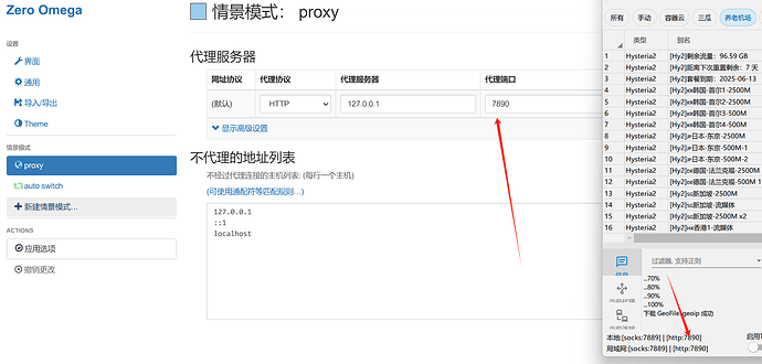 【v2rayN】电脑使用节点没反应 - 搞七捻三 - LINUX DO