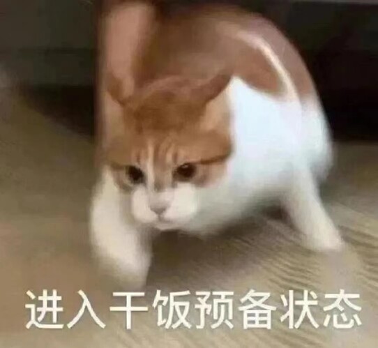 c925da44f52ba230bf40b929574d476