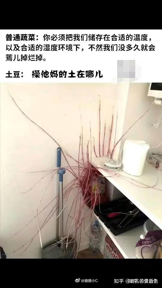 Linux Do第一届梗图／吊图／meme图／沙雕图大赛 - 搞七捻三 - LINUX DO