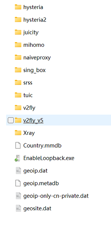 v2rayN参数类型设置core的问题 - 开发调优 - LINUX DO