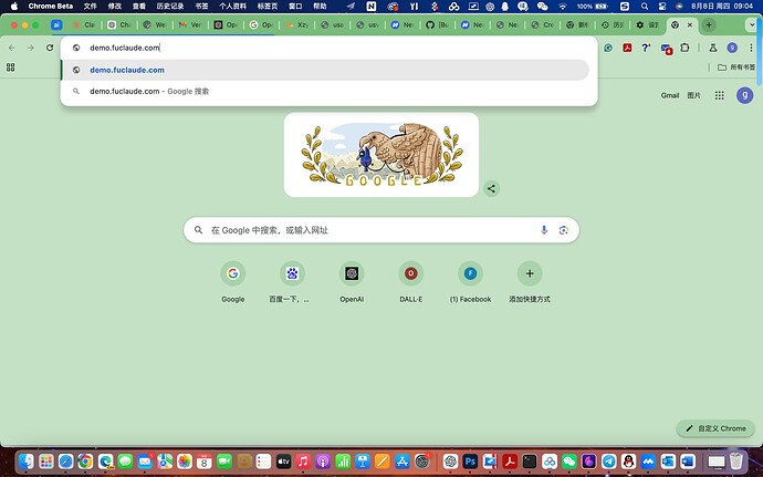 截屏2024-08-08 09.04.22