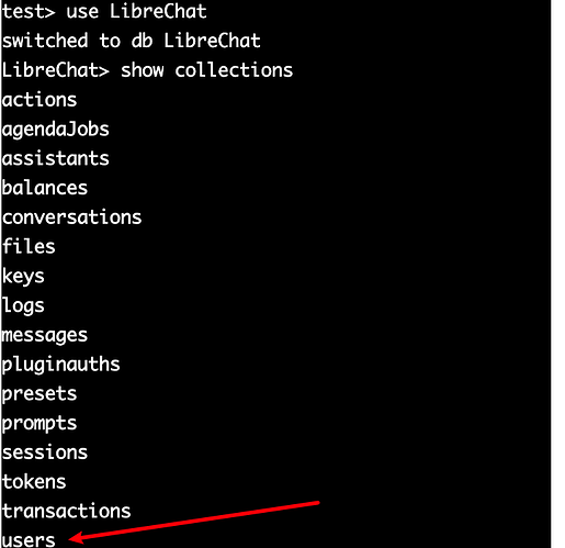 搭建了LibreChat的兄弟注意了 - 开发调优 - LINUX DO