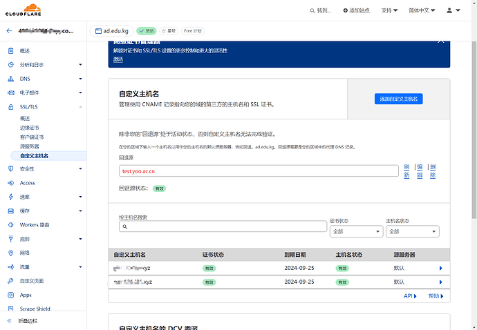 cloudflare tunnel使用saas回源，实现优选 - 资源荟萃 - LINUX DO