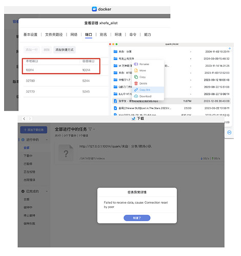 极空间如何下载 docker alist 中的视频？ - 开发调优 - LINUX DO