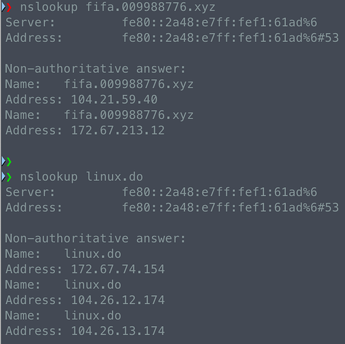 请问呢为什么linux.do国内国外访问都很快，如何做到的？ - 开发调优 - LINUX DO
