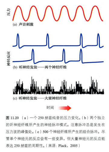 组合脉冲