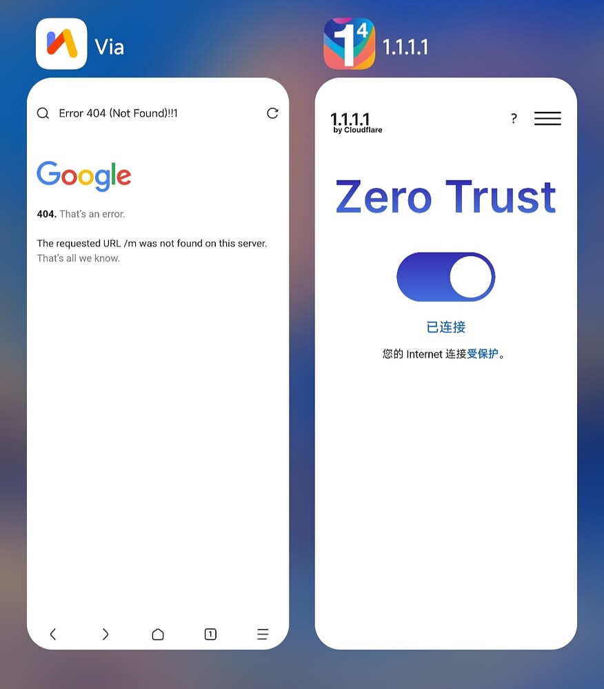 解决zerotrust连接问题 - 资源荟萃 - LINUX DO