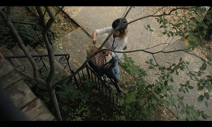 蒙特利尔，我的美人