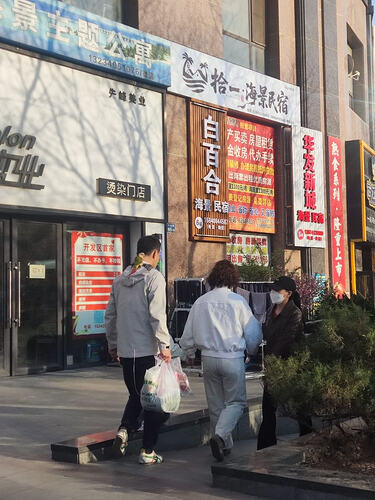 遛鸟人