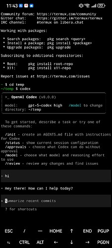 有人在安卓termux上面成功使用codex吗 - 开发调优 - LINUX DO
