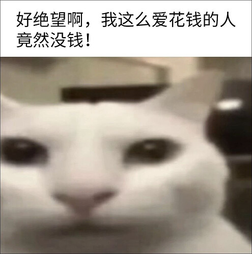 pasted-image-2026-06-10T12-40-31.png