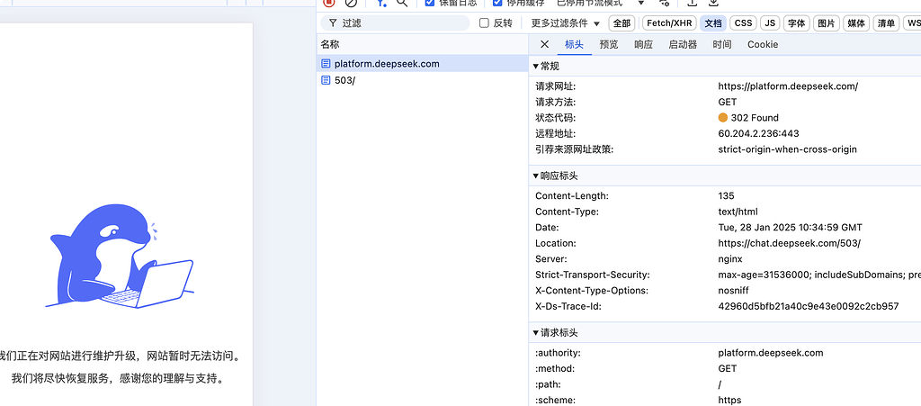 deepseek-platform平台维护显示503 - 搞七捻三 - LINUX DO