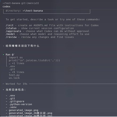 Codex目前还是wsl比win端优化更好吗？ - 搞七捻三 - LINUX DO