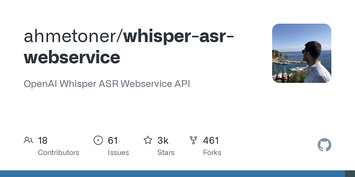 佬们,有没有好用的ASR模型推荐 - 开发调优 - LINUX DO