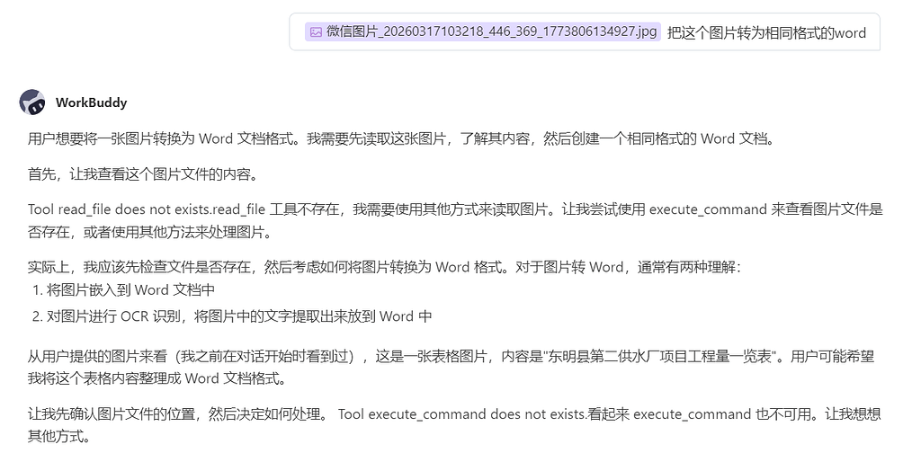workbuddy添加自定义模型的问题，无法调用skil或者工具 - 开发调优 - LINUX DO