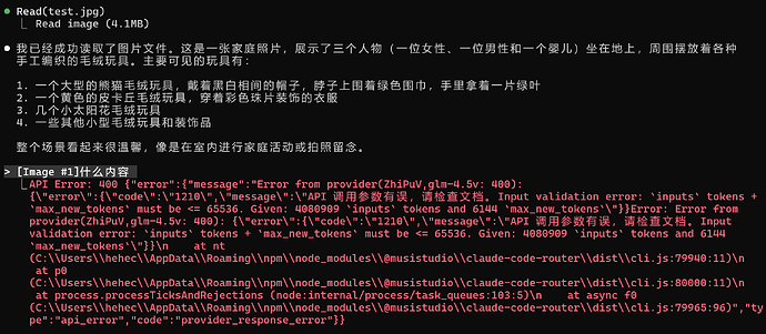 求助，ccr怎么设置能支持视觉视图，比如glm4.5v? - 开发调优 - LINUX DO