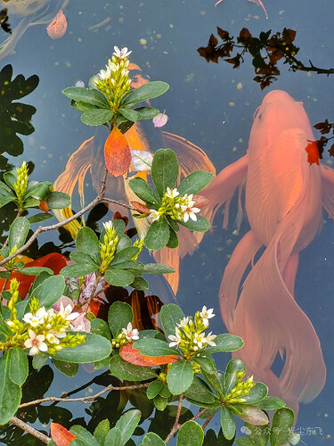 pasted-image-2026-05-15T02-23-42.png