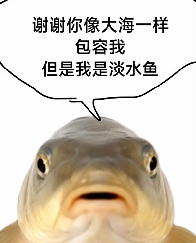 pasted-image-2026-06-11T09-14-14.png