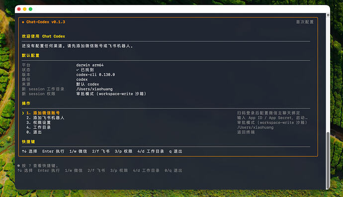 chat-codex-tui-screenshot
