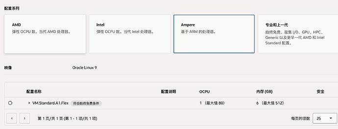 昨天开了甲骨文，今天抢了一台VM.Standard.A1.Flex - 搞七捻三 - LINUX DO