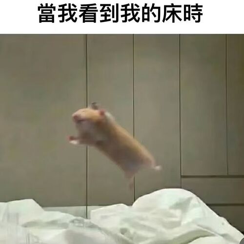 68c3a52aa8304e72664d952c047e83d0