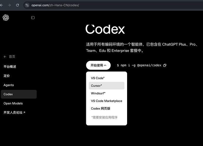 Zencoder 使用研究(可用 Claude Code / Codex Agent) - 开发调优 - LINUX DO