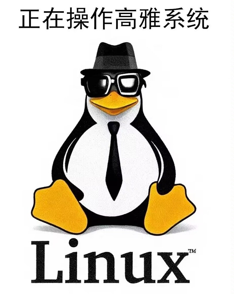 正在操作高雅系统 - 搞七捻三 - LINUX DO