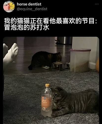 pasted-image-2026-06-10T12-51-05.png