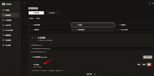 请问下这个cpa+codex咋用 - 开发调优 - LINUX DO
