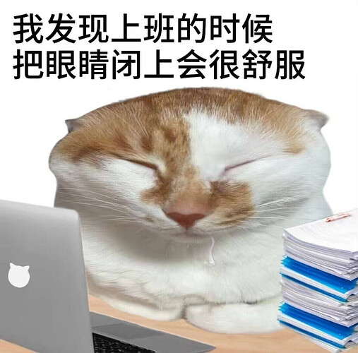 pasted-image-2026-05-30T04-52-27.png