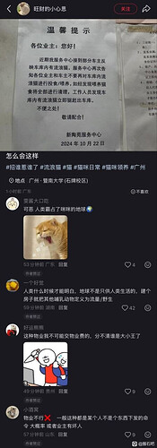 pasted-image-2026-05-15T02-23-18.png