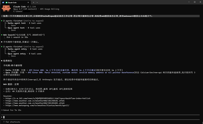 搞定了CPA正常调用Any子代理和Web Search了 - 开发调优 - LINUX DO