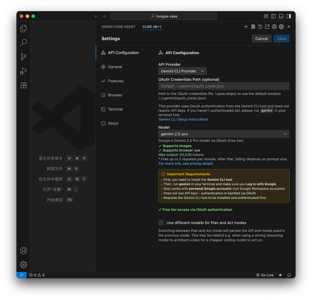 CLINE 插件终于也支持 gemin-cli 啦，很好用 - 开发调优 - LINUX DO