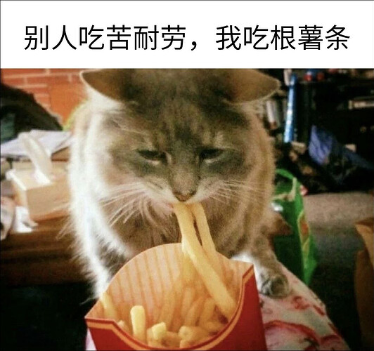 pasted-image-2026-06-25T05-17-32.png