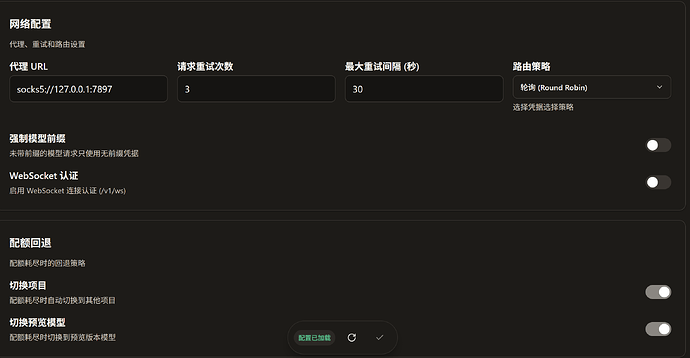 【小白求助！】CPA+Codex502 - 开发调优 - LINUX DO