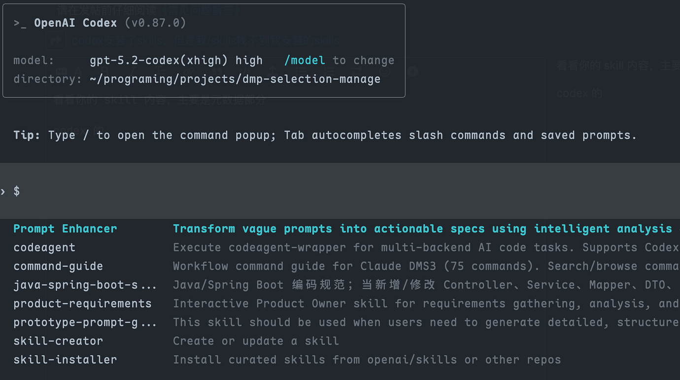 codex安装了skills，但是我/skills找不到我安装的skills - 开发调优 - LINUX DO