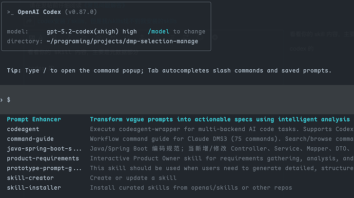 codex安装了skills，但是我/skills找不到我安装的skills - 开发调优 - LINUX DO