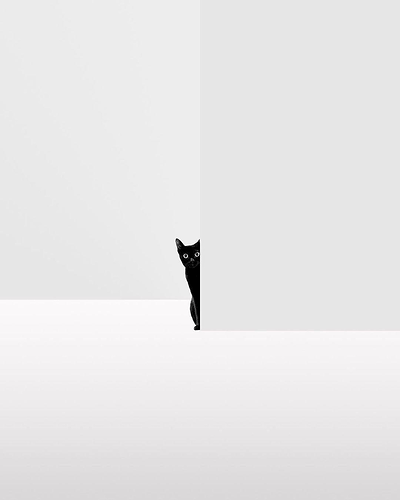 pasted-image-2026-06-10T12-36-08.png