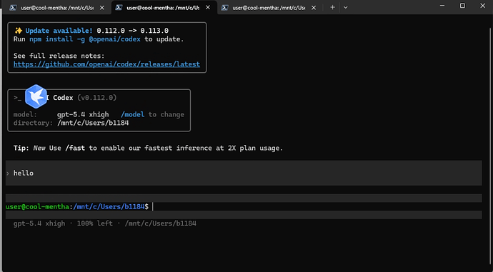 codex bug? - 搞七捻三 - LINUX DO
