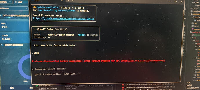 codex cli使用疑惑 - 开发调优 - LINUX DO