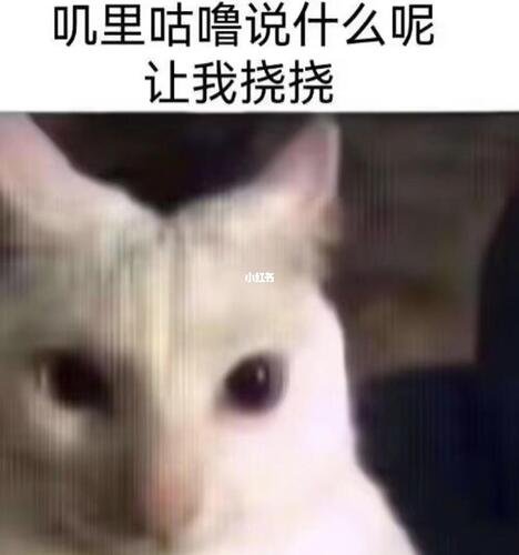 9b61c5faa99fd6542e469d1aec72adb8