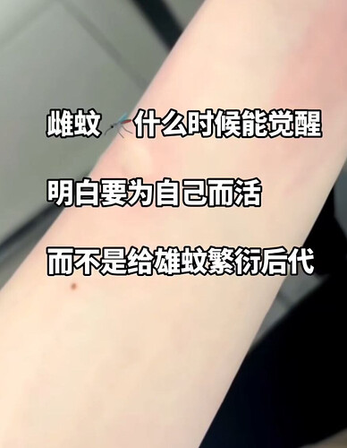 pasted-image-2026-06-01T02-55-02.png