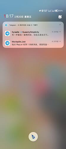 Screenshot_2026-02-20-18-17-37-06_b783bf344239542886fee7b48fa4b892