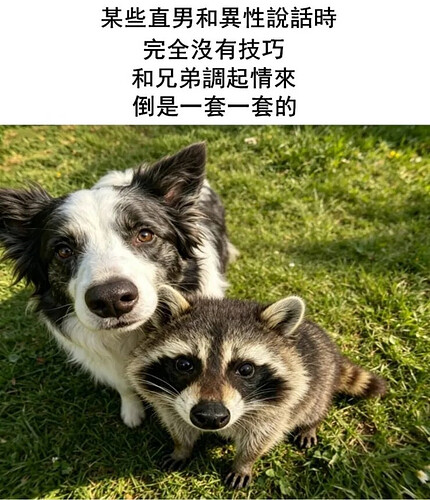pasted-image-2026-06-12T01-51-02.png