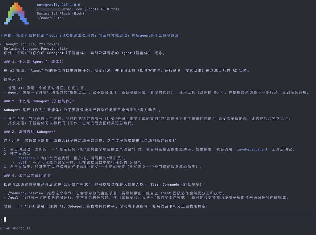 Antigravity CLI可以正常登录，并且体验到完整功能 - 开发调优 - LINUX DO