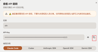 复制API Key
