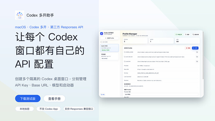 Codex 多开助手主视觉
