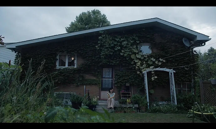 蒙特利尔，我的美人