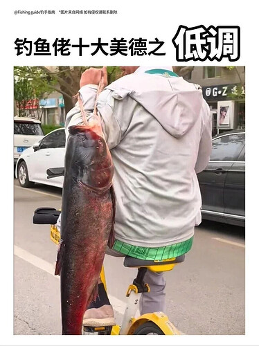pasted-image-2026-06-09T01-02-45.png