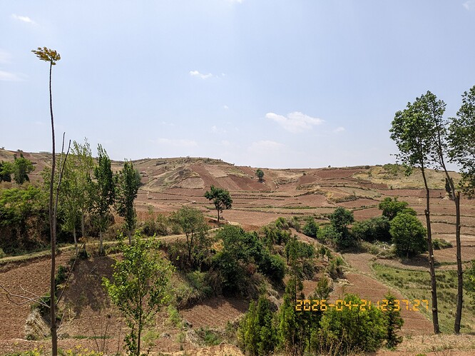 61.jpg